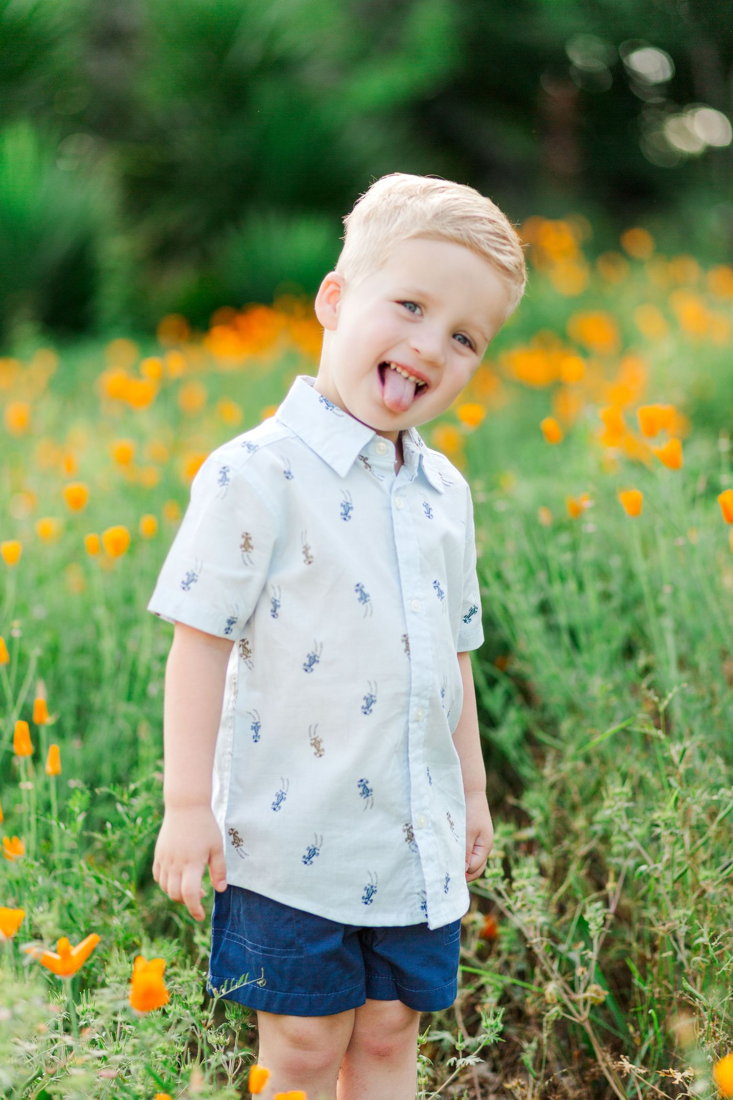 A playful child stands in a field of orange California poppies wearing a patterned shirt and blue shorts.