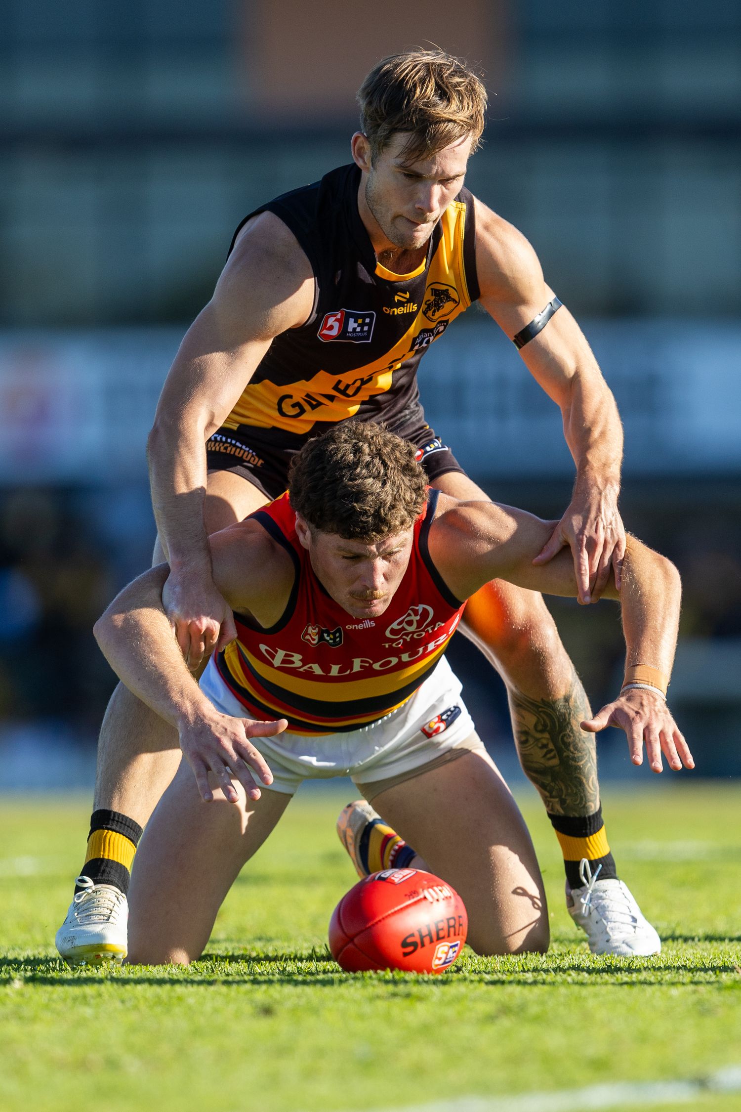 Close-up of players diving for a red football on grass during an Australian Rules match.