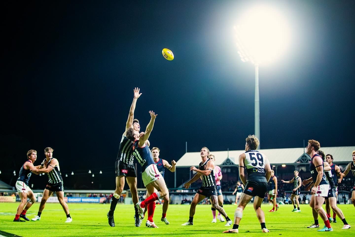 Australian Rules Football players leap for ball during night game under floodlights.