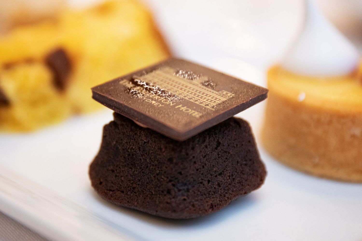 Close-up of chocolate desserts with elegant plating and garnishes.