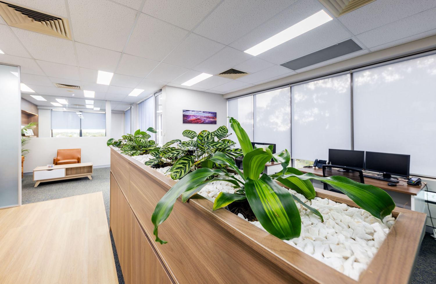 Modern office interior with white desks, potted plants, and fluorescent lighting in an open workspace layout.