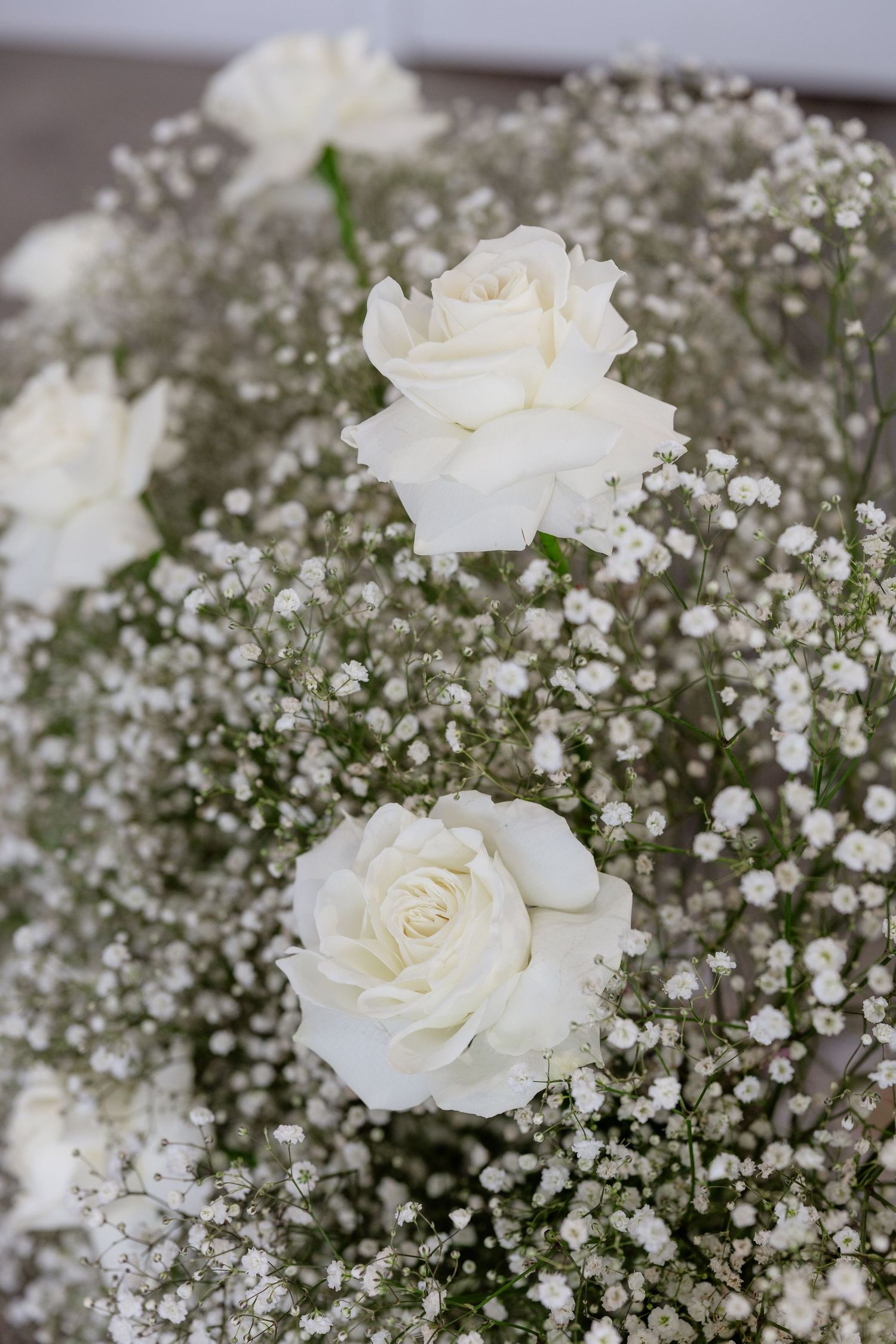A series of elegant white roses paired with delicate baby's breath flowers arranged in a romantic floral display.