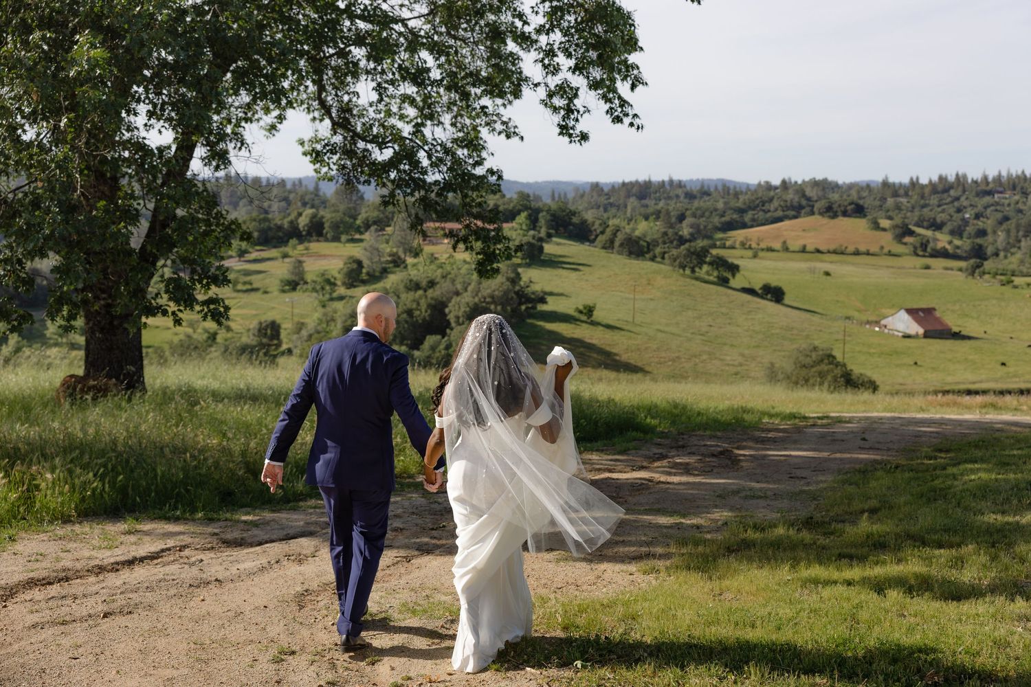 Bride and groom walk hand-in-hand along a scenic countryside path with rolling green hills and trees.