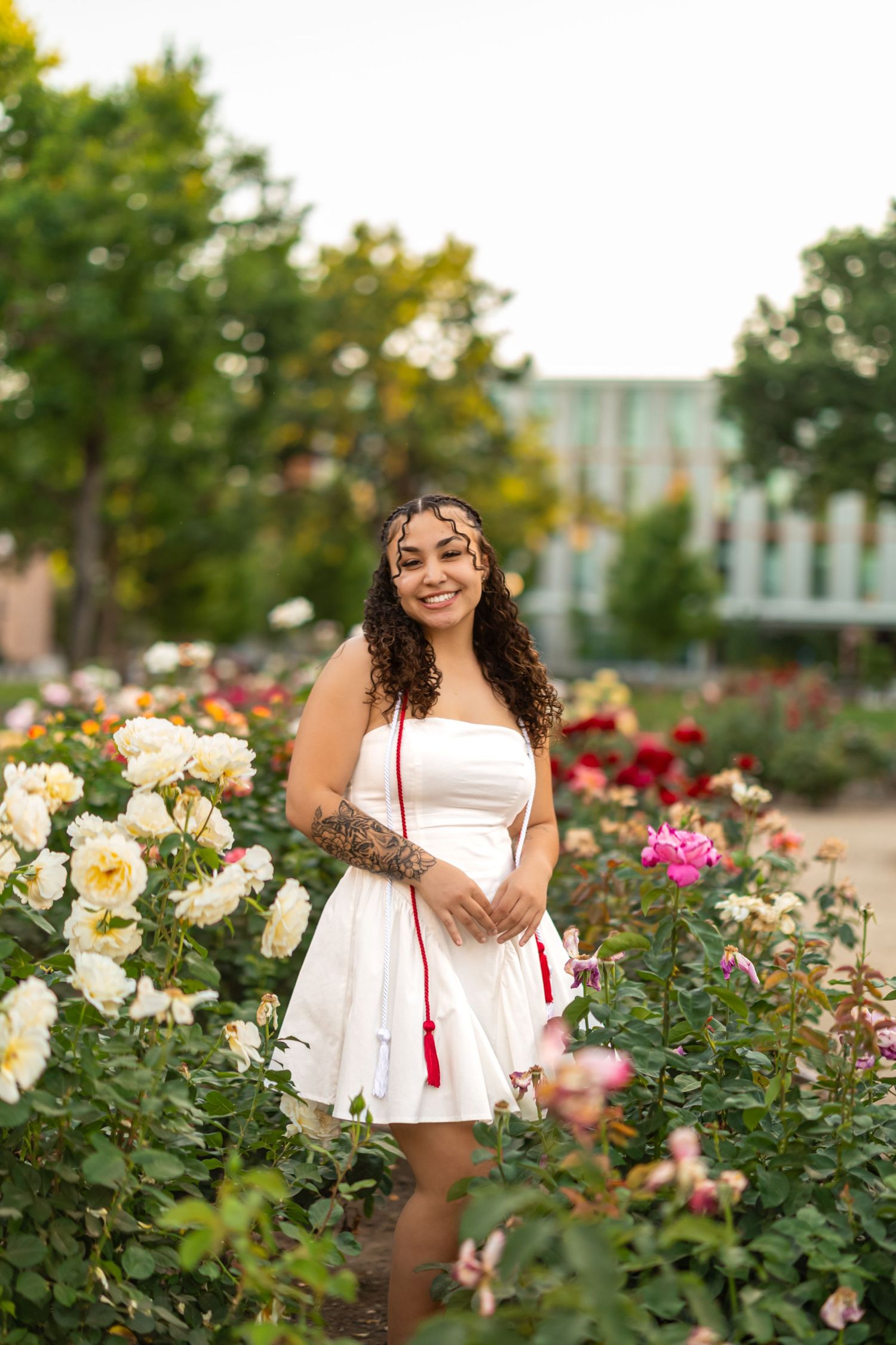 A person in a white dress stands among blooming rose bushes in a garden on a sunny day.