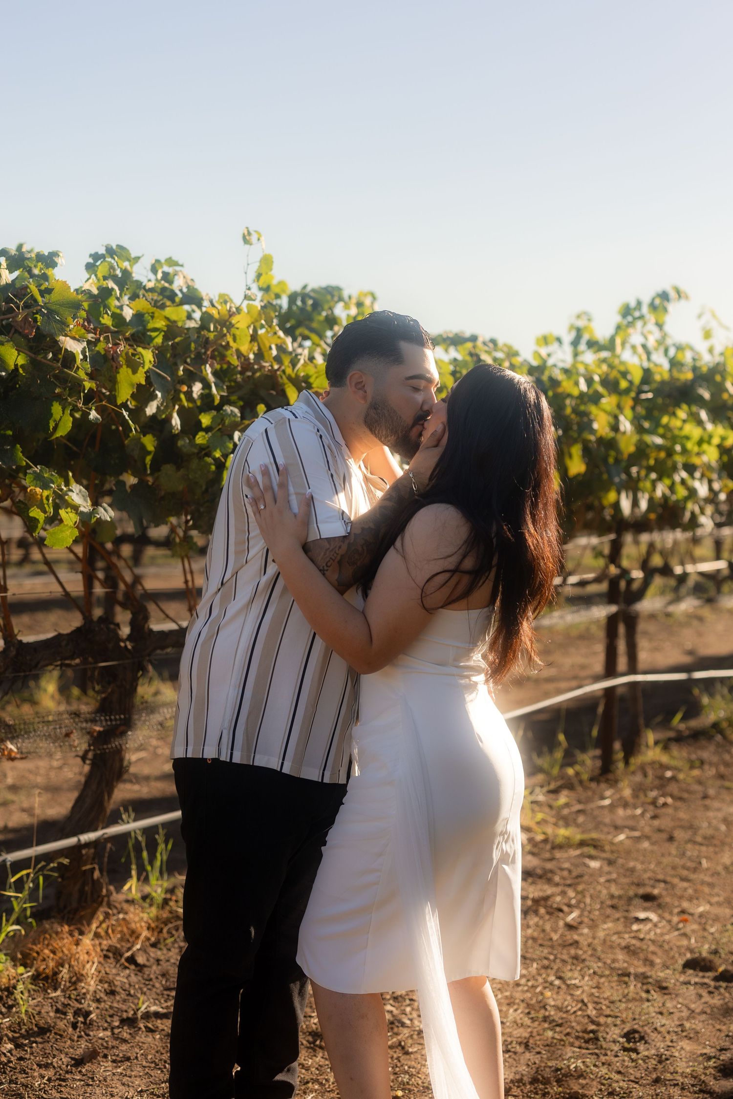 Sunset photoshoot in a vineyard showing tender moments between a couple.