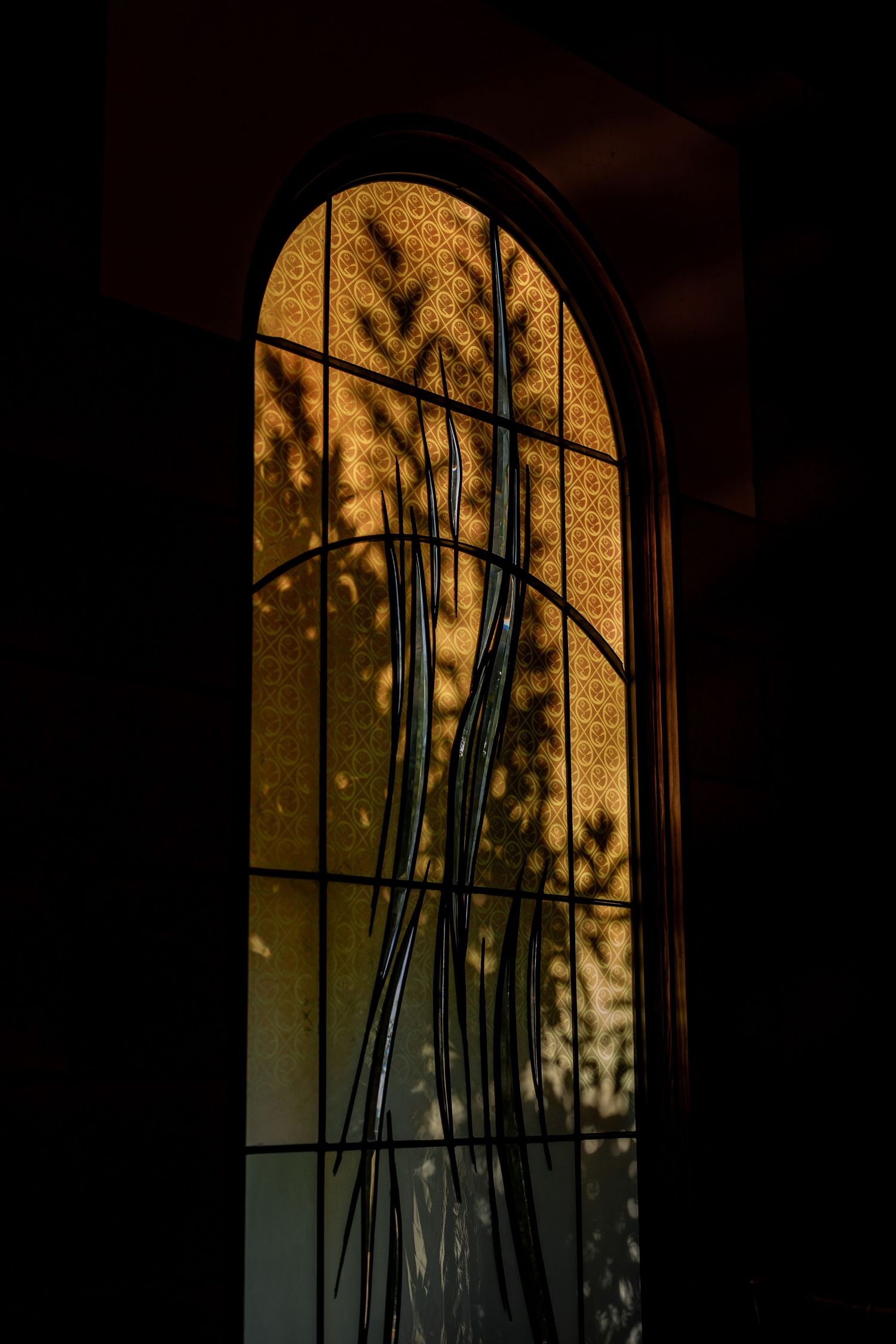 Dramatic arched window with shadow of plants cast on golden-lit glass.