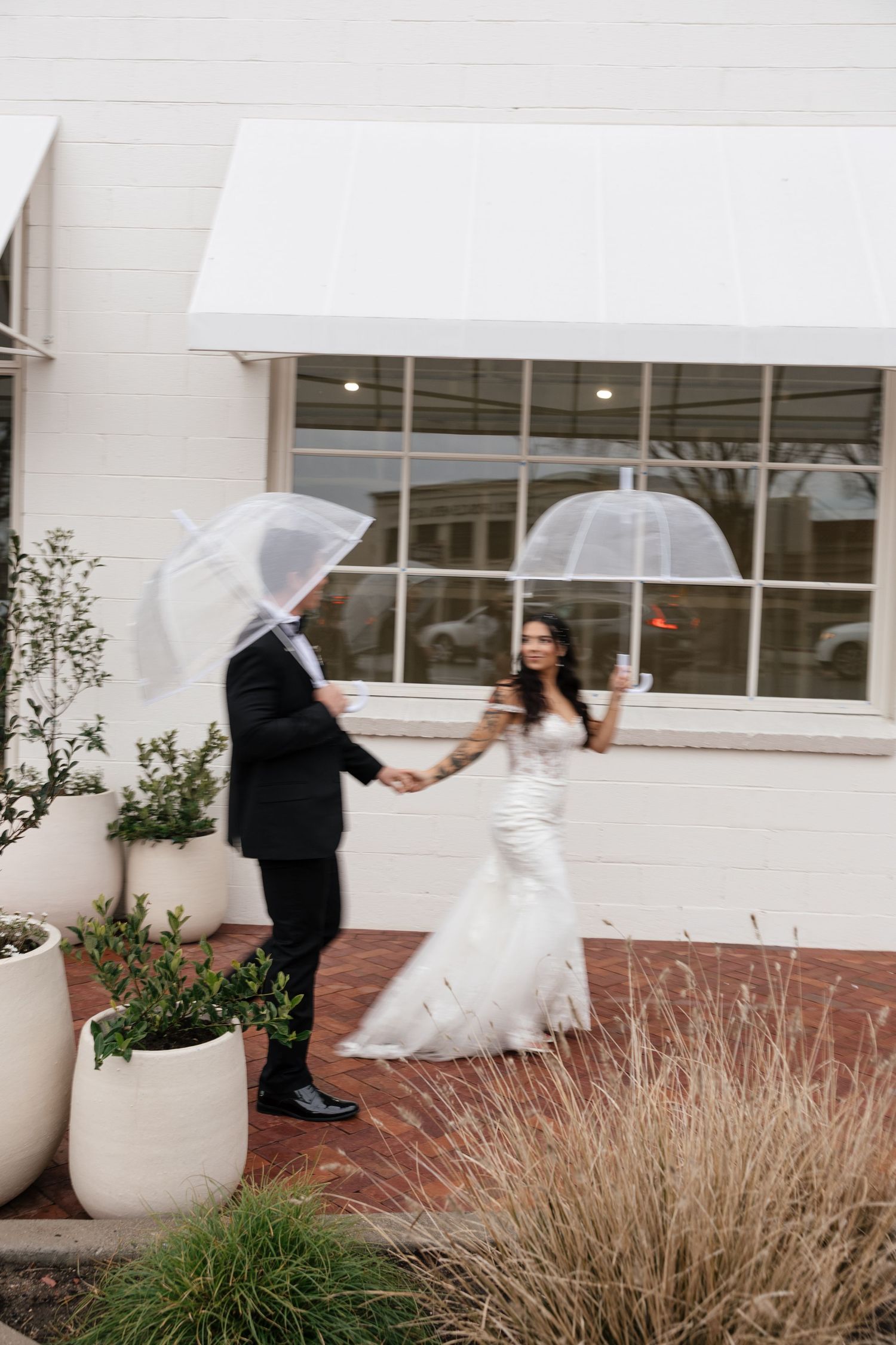 A couple in wedding attire holds clear umbrellas while standing outside a white building with ornamental grasses.