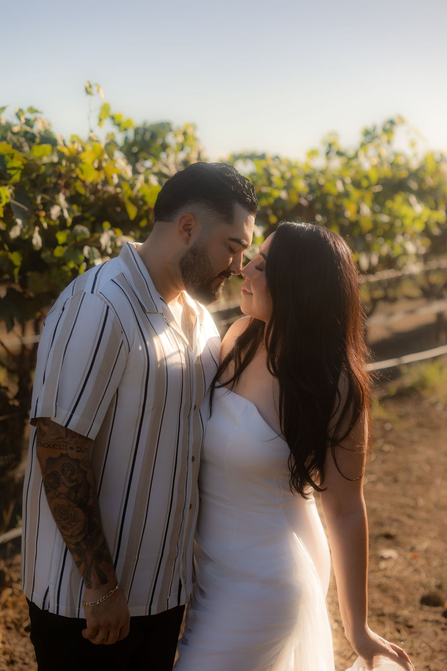 Couple sharing romantic kisses in a vineyard at sunset with beautiful backlighting.