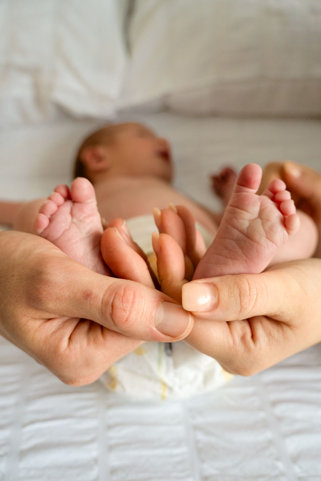 Newborn photoshoot