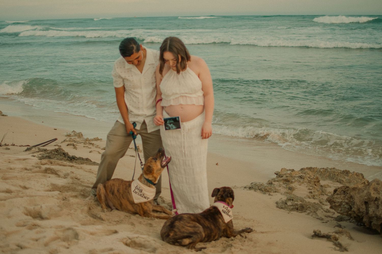 Pregnant couple with two dogs on a sandy beach, holding an ultrasound photo during a maternity photoshoot.