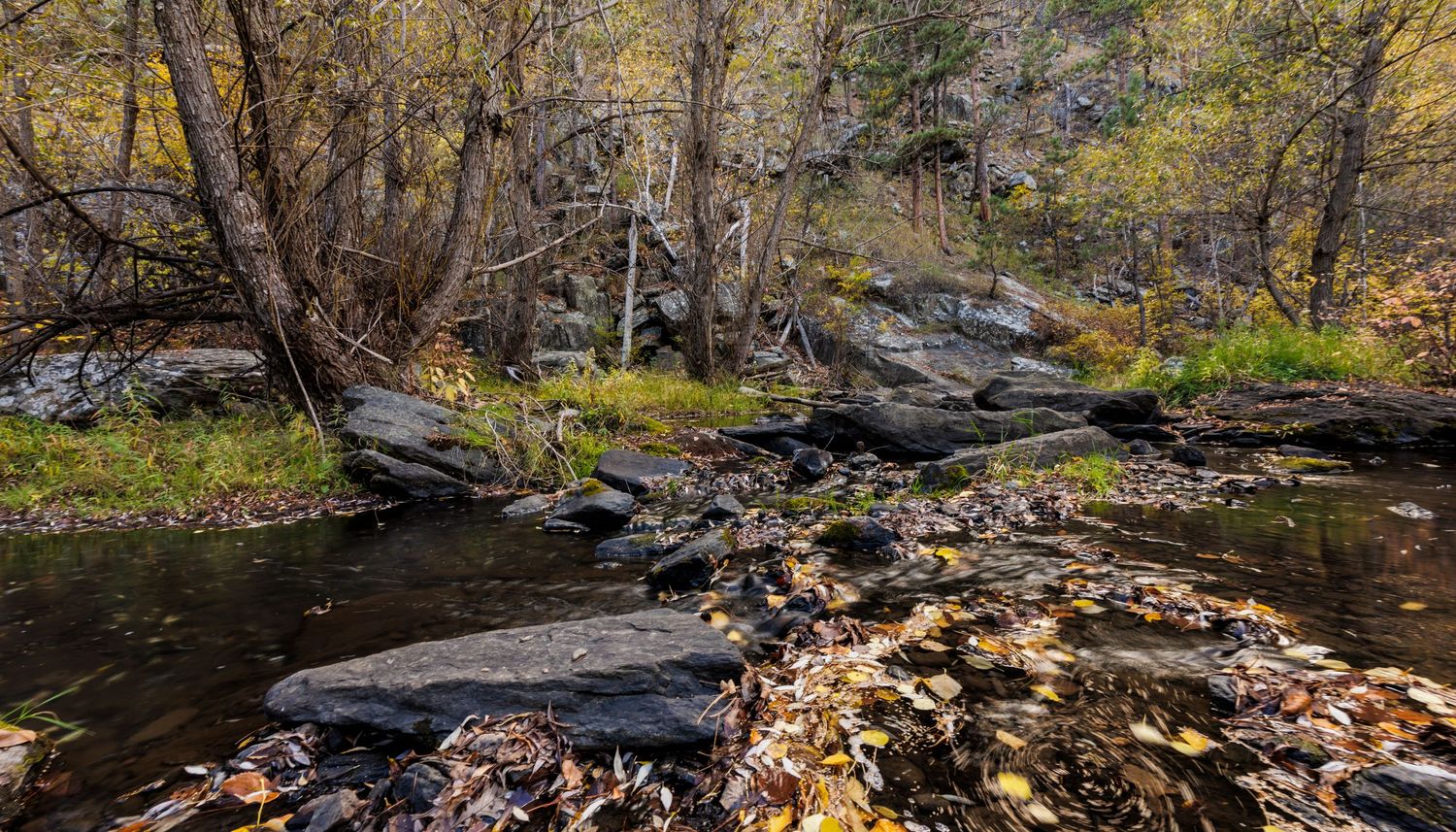Rocky terrain covered in fallen autumn leaves beside a forest stream.