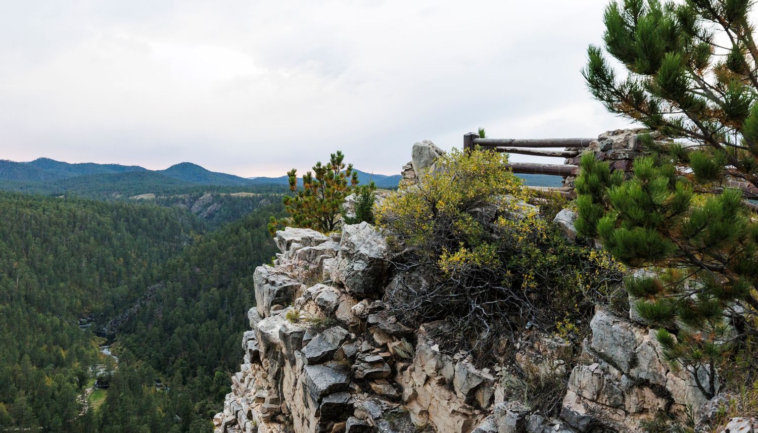 Rocky mountain vista with evergreen trees and distant peaks under blue skies.