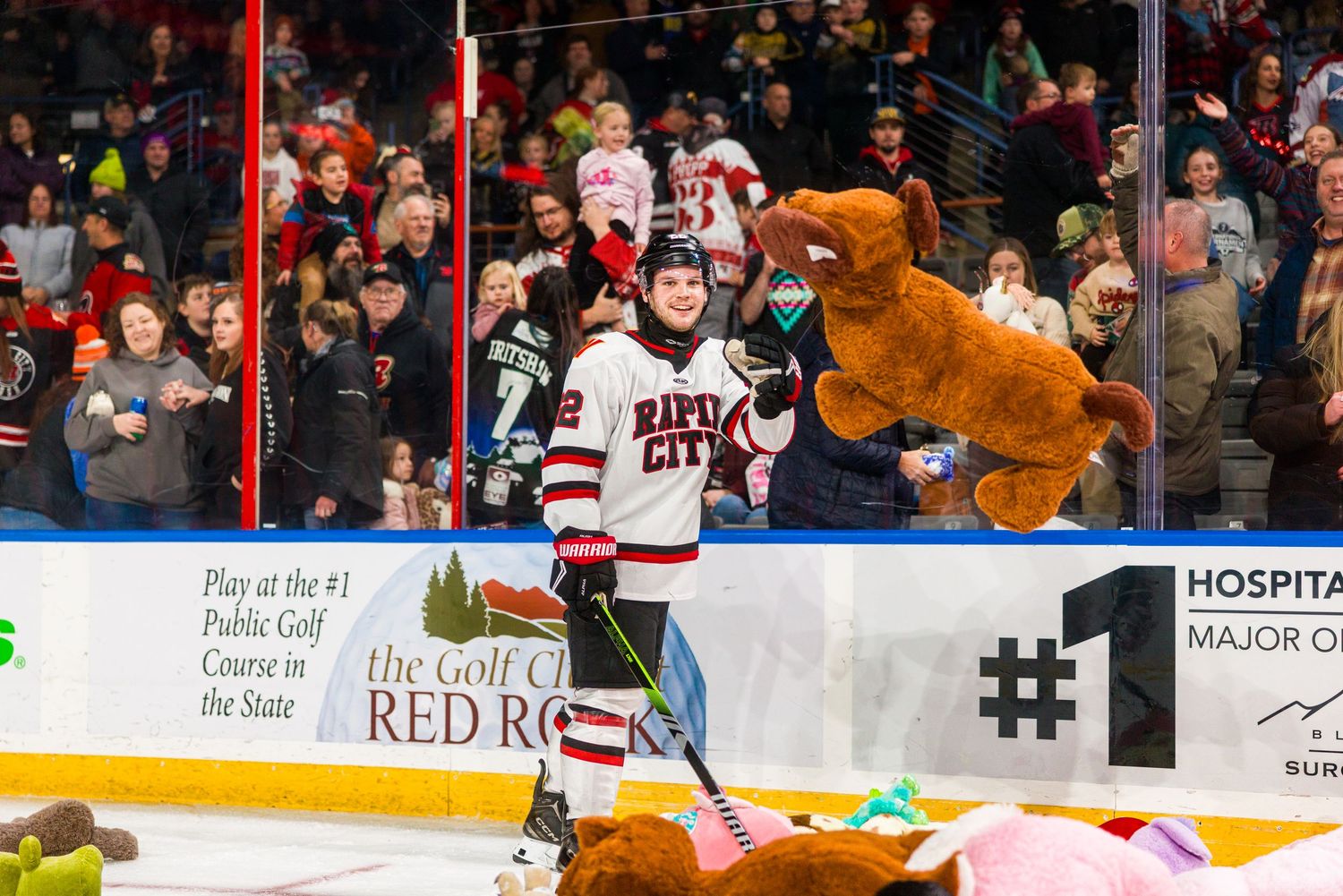 Hockey players celebrate on the ice during a game as fans cheer in the crowded arena background.