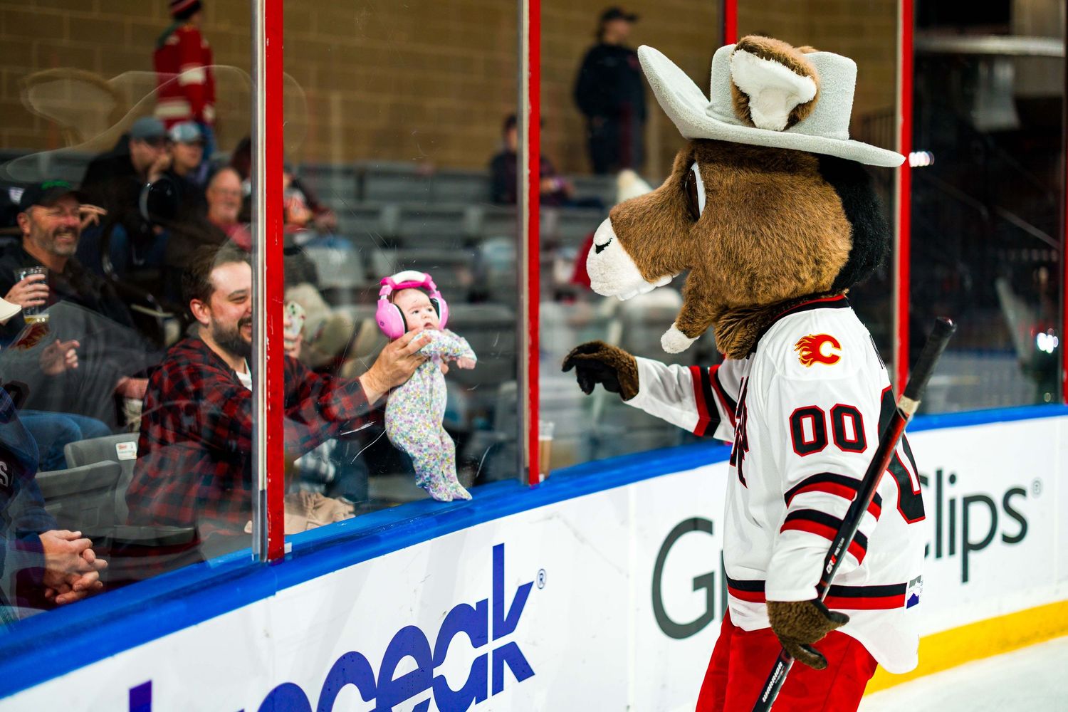 Hockey players battle for position along the boards near the red goal line during an intense game.