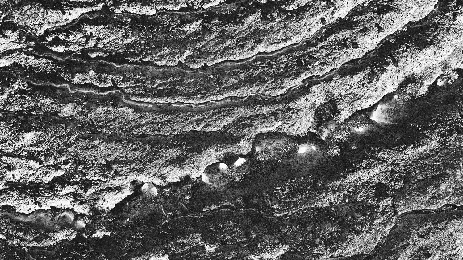 Black and white close-up of rough stone or mineral surface texture.
