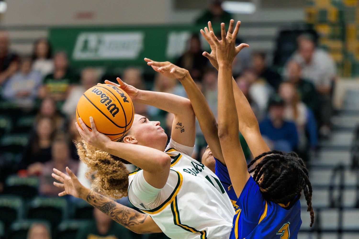 Basketball players from opposing teams reach for a loose ball during an intense game moment.