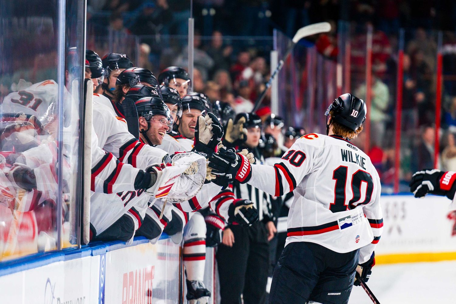Hockey players from opposing teams battle for the puck during an intense professional ice hockey match.
