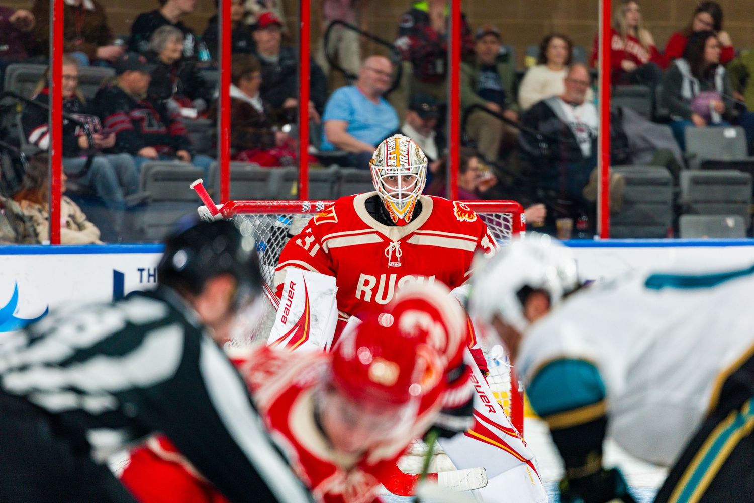 Ice hockey players compete for the puck during an intense game with red and white jerseys visible.