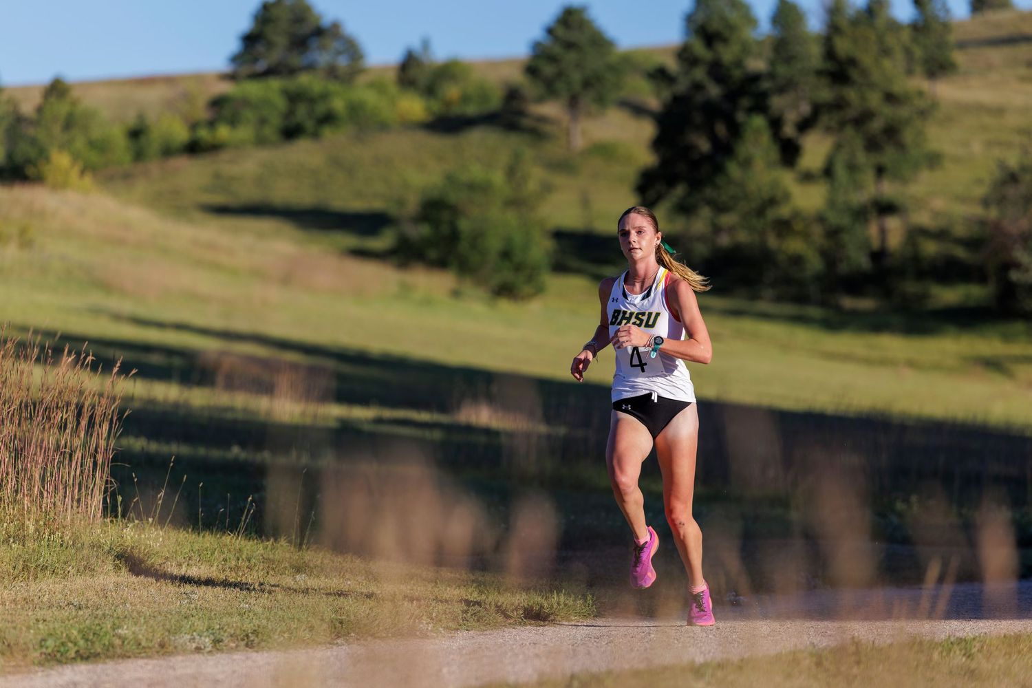 Runner jogging along a scenic trail through rolling green hills and pine trees on a sunny day.