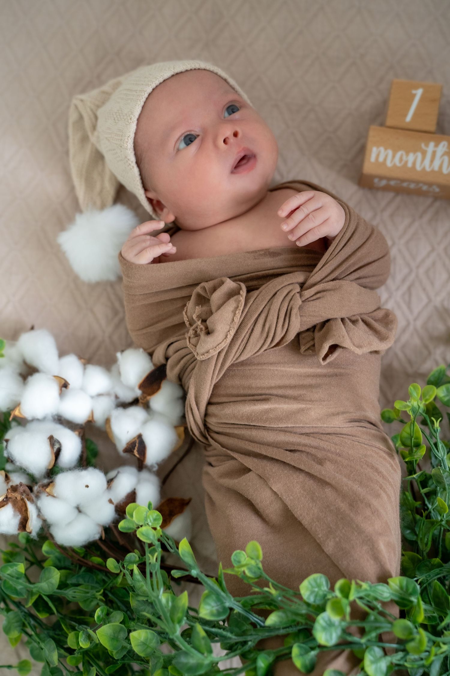A baby in a brown swaddle blanket lies among green foliage and cotton stems in a one month milestone photo.