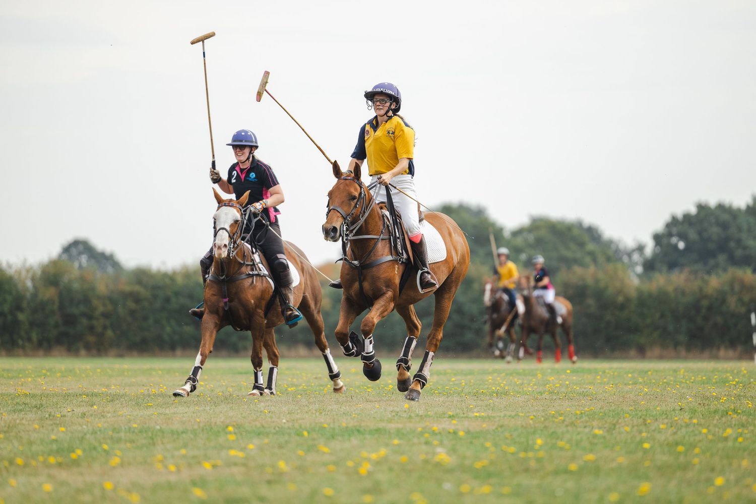 A polo match in progress