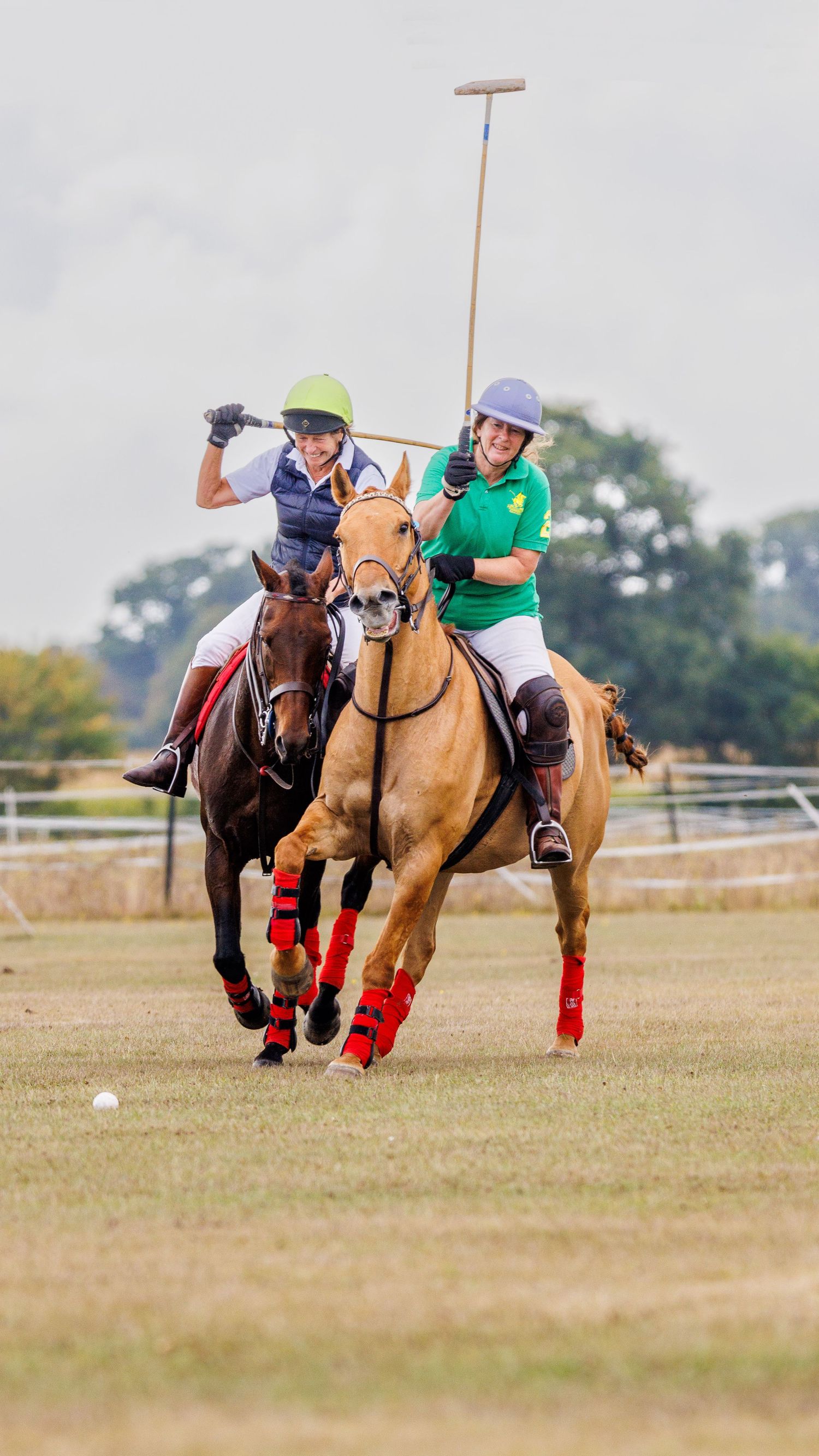 Two ladies on ponies playing polo competing for the ball