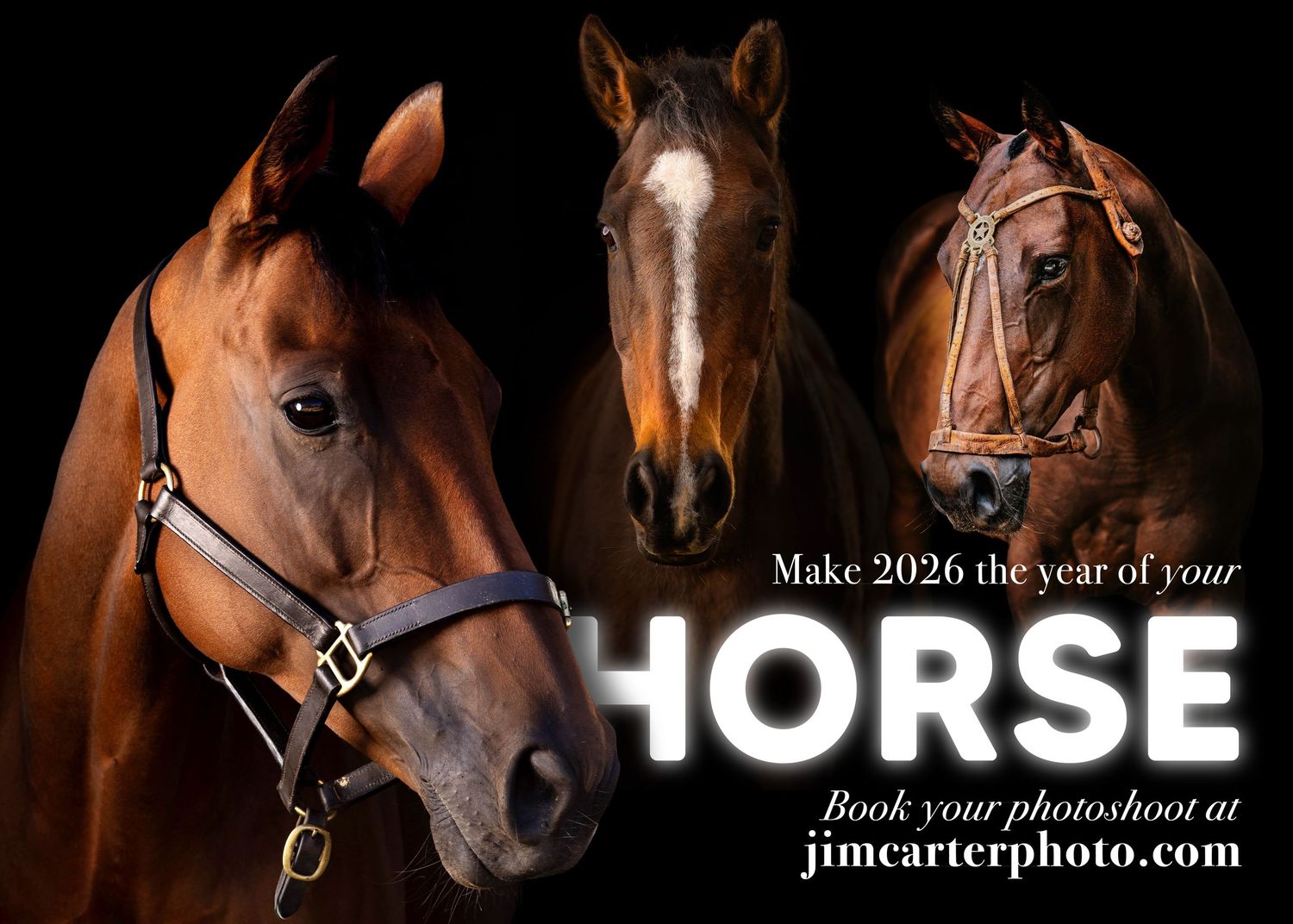 Make 2026 The Year of Your Horse
