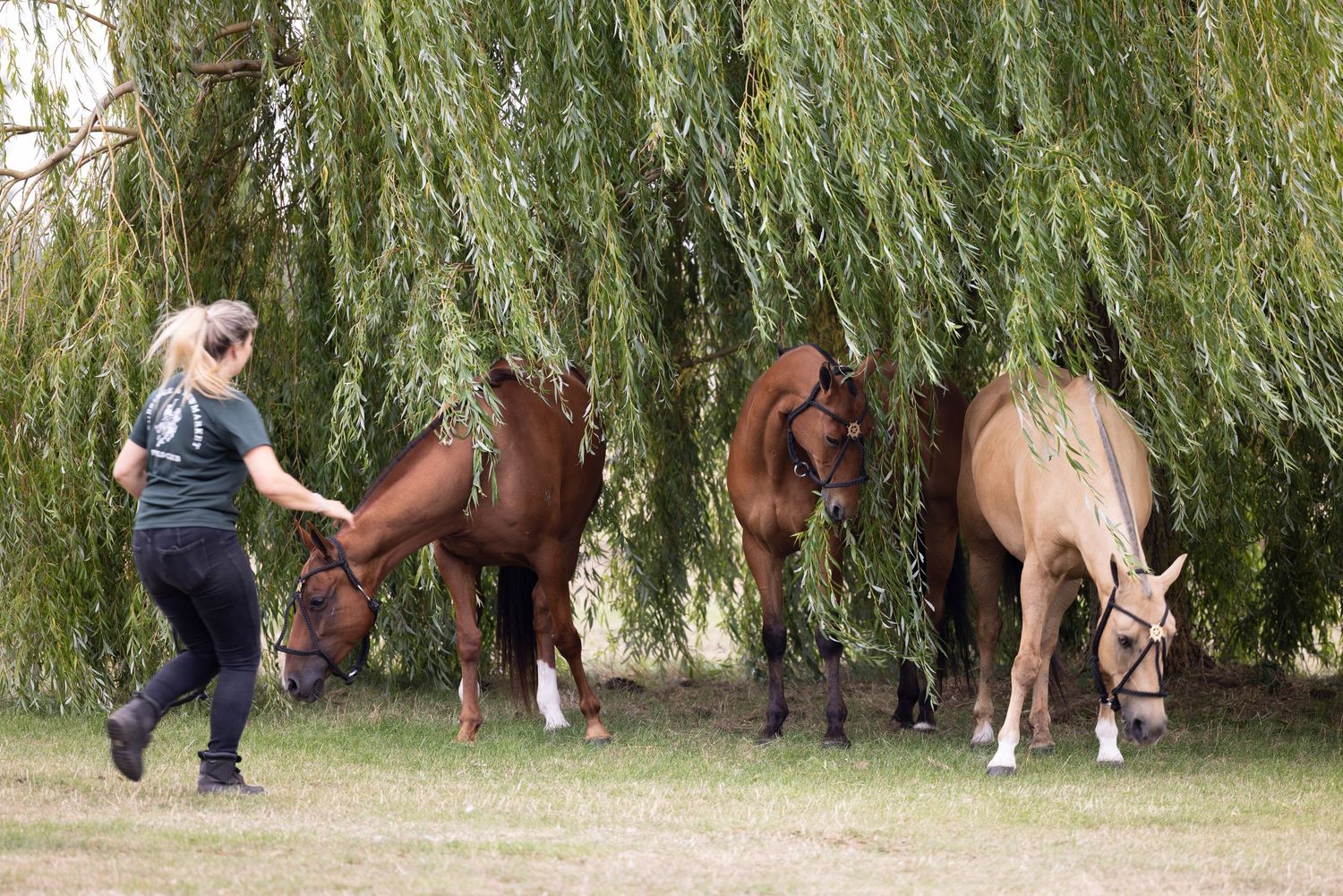 Lady running to tend to her ponies