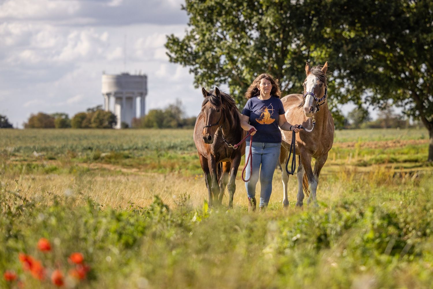 A lady walking her horses through a field