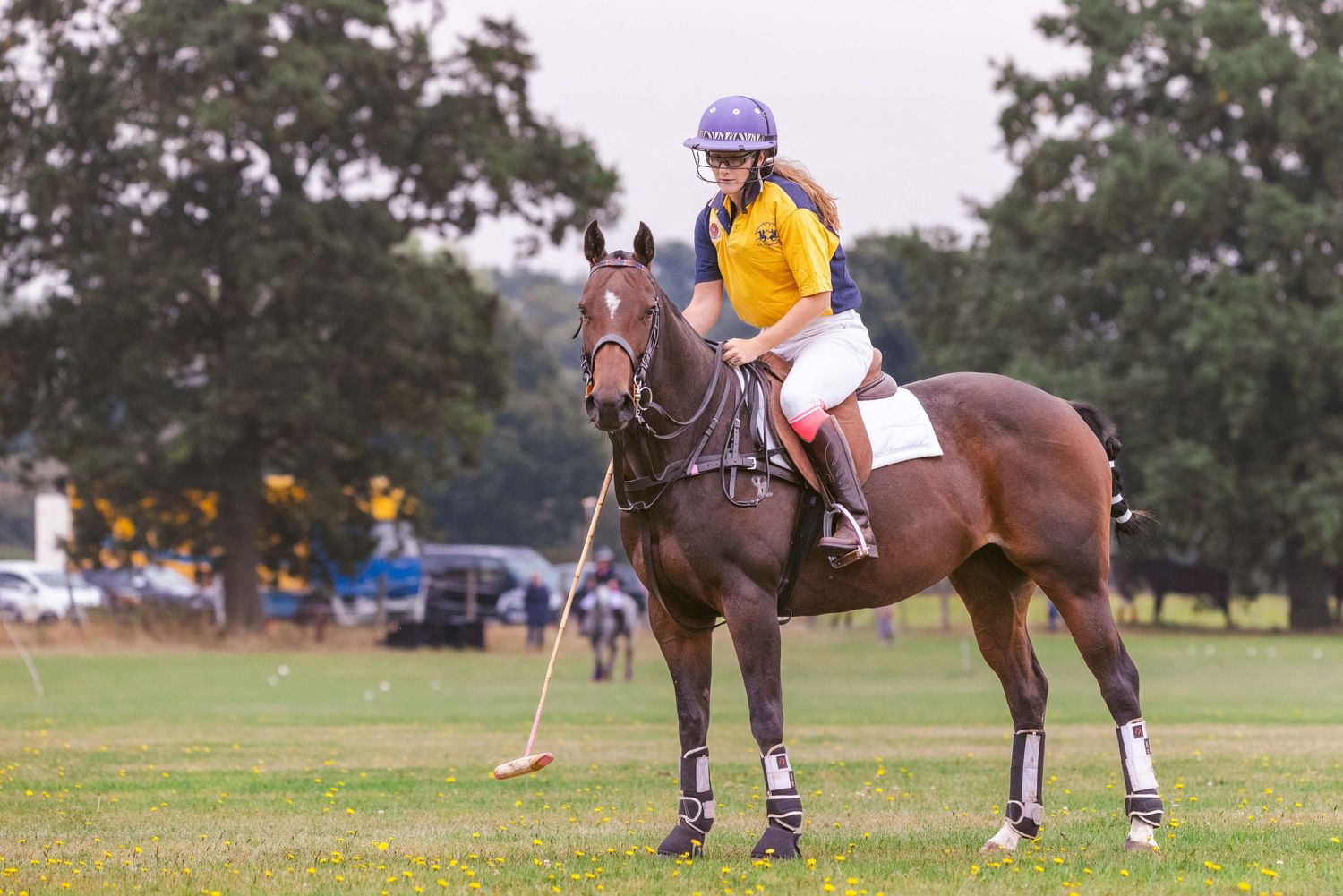 A lady on her polo pony