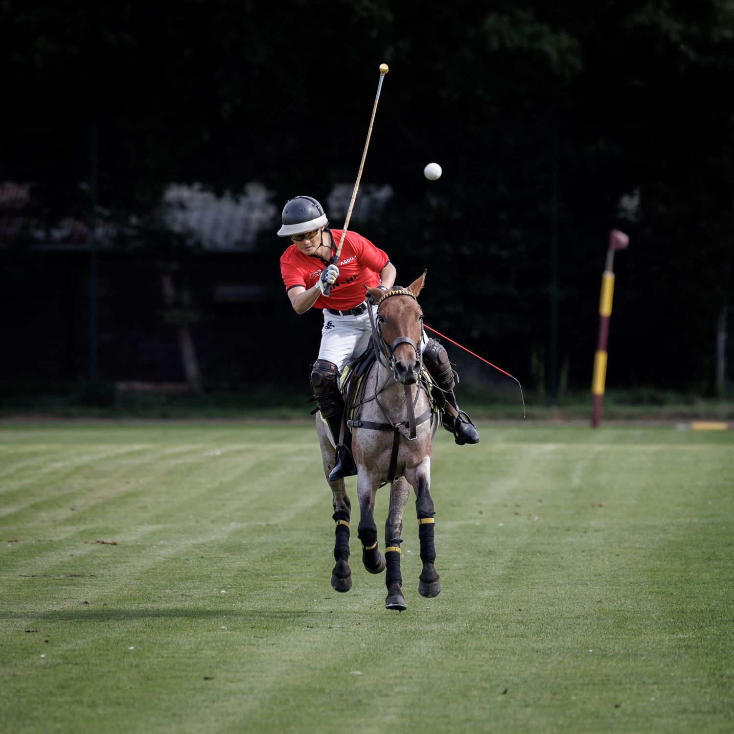 A polo rider with pony and ball in mid air