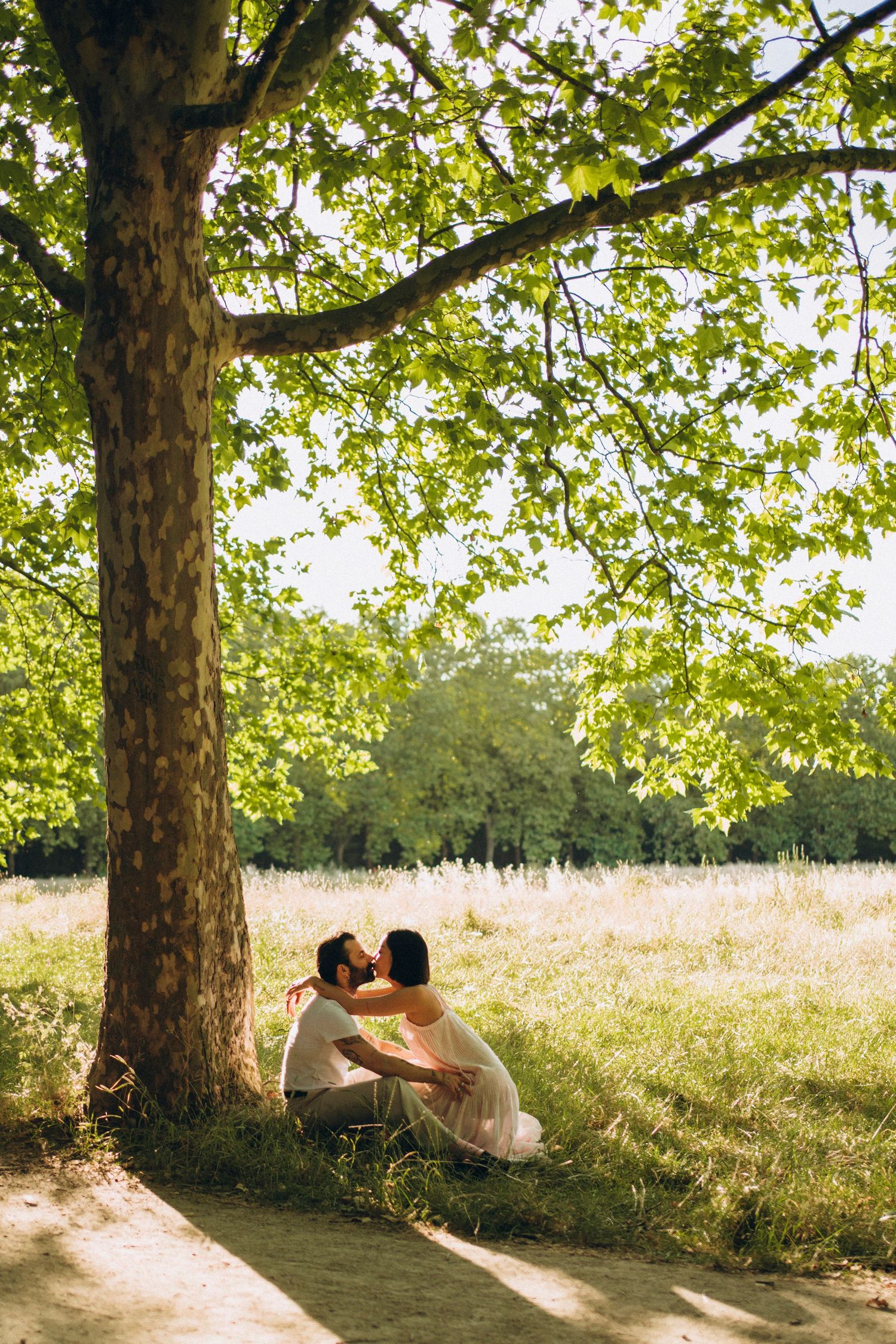 Couple sitting together under a large green tree in a sunny meadow, sharing a romantic moment in nature.