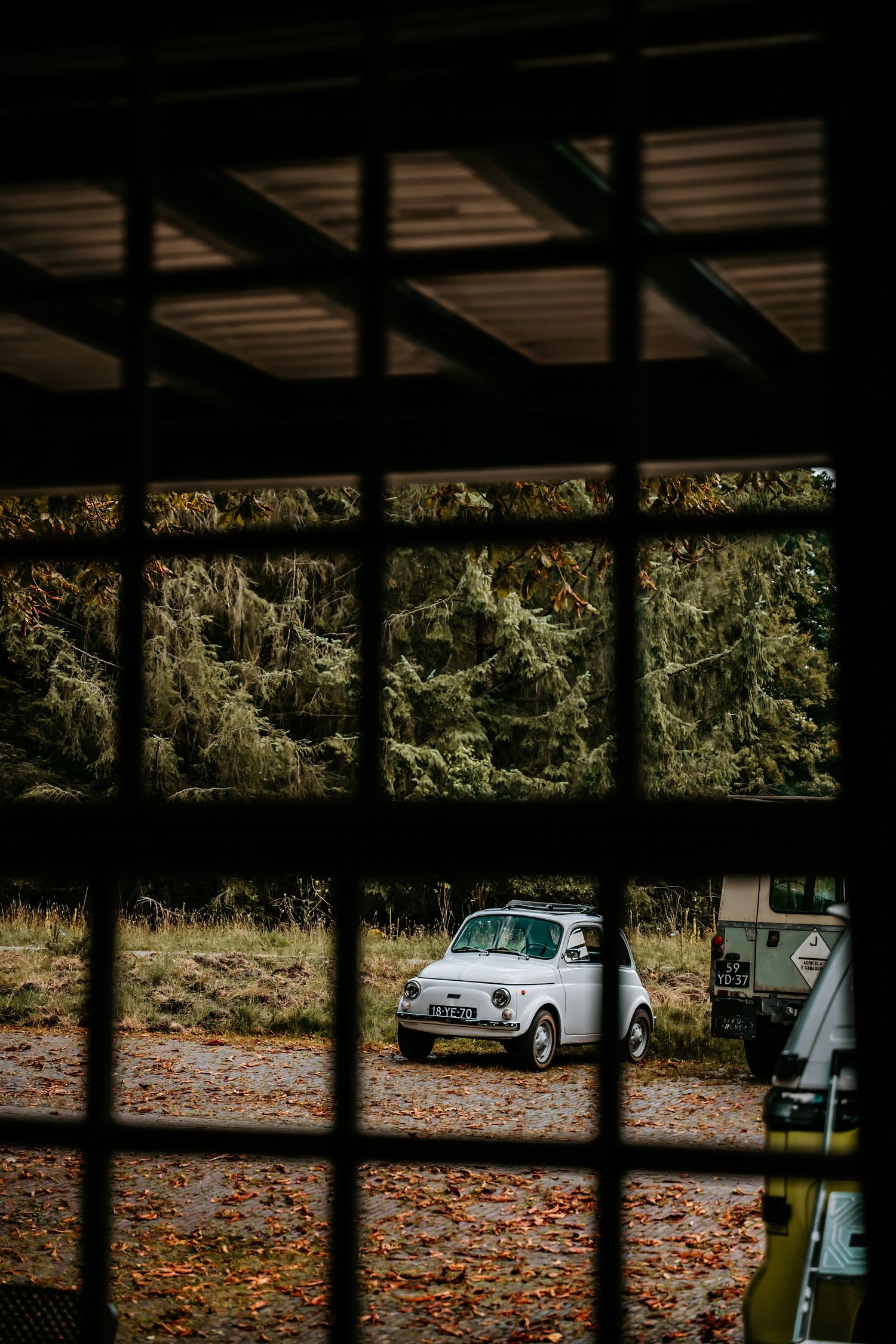 Vintage Fiat 500 car viewed through dark window bars with autumn leaves on ground and evergreen trees in background.