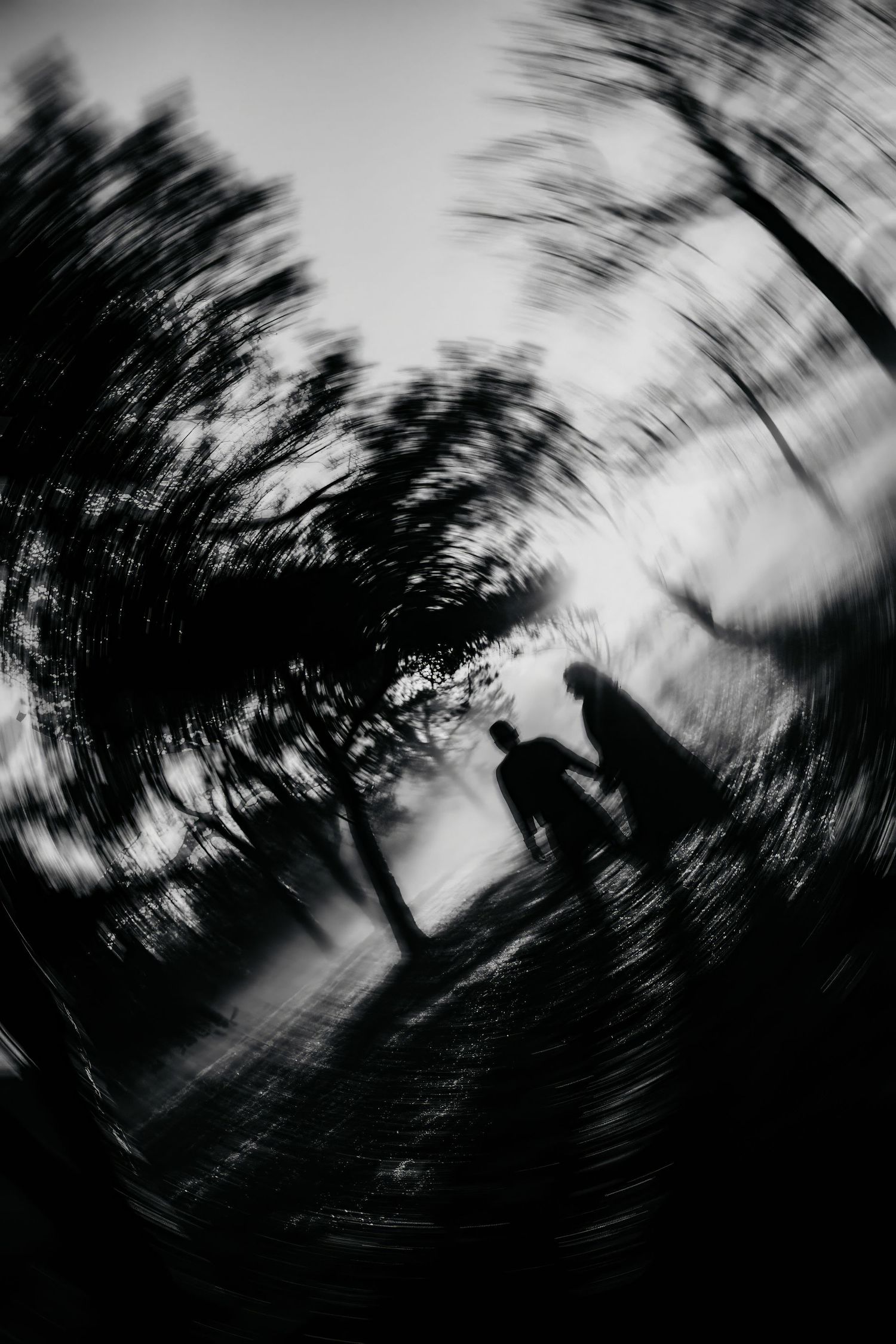 Abstract black and white motion blur of trees creating a swirling artistic effect in nature.