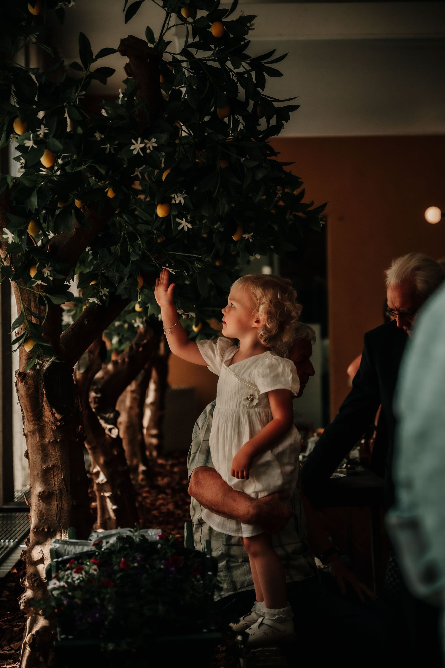 Wedding reception guests dancing and celebrating under decorative foliage in dim lighting.
