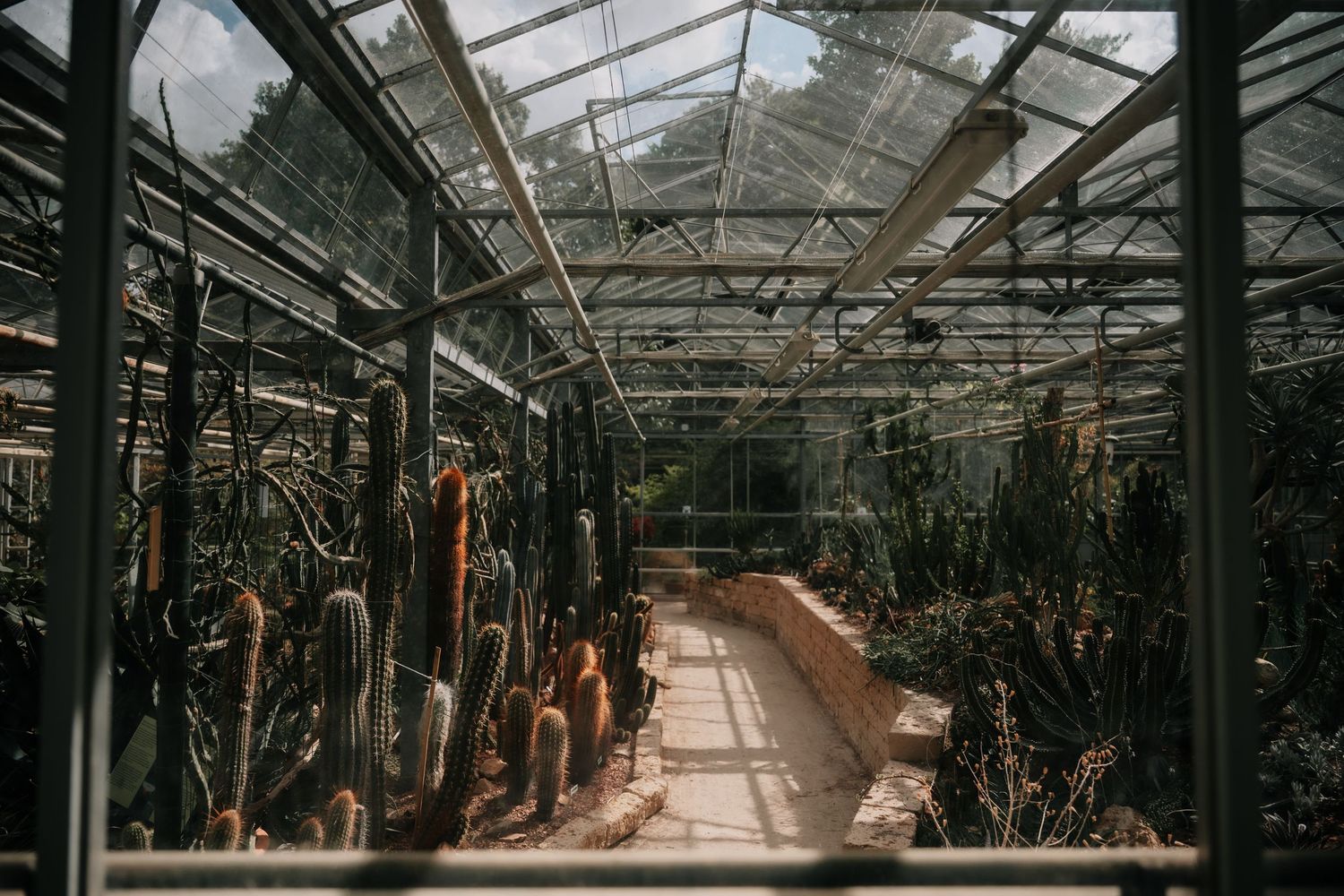 Long greenhouse interior view with glass ceiling and walls showing abandoned or dormant plants and walkway.