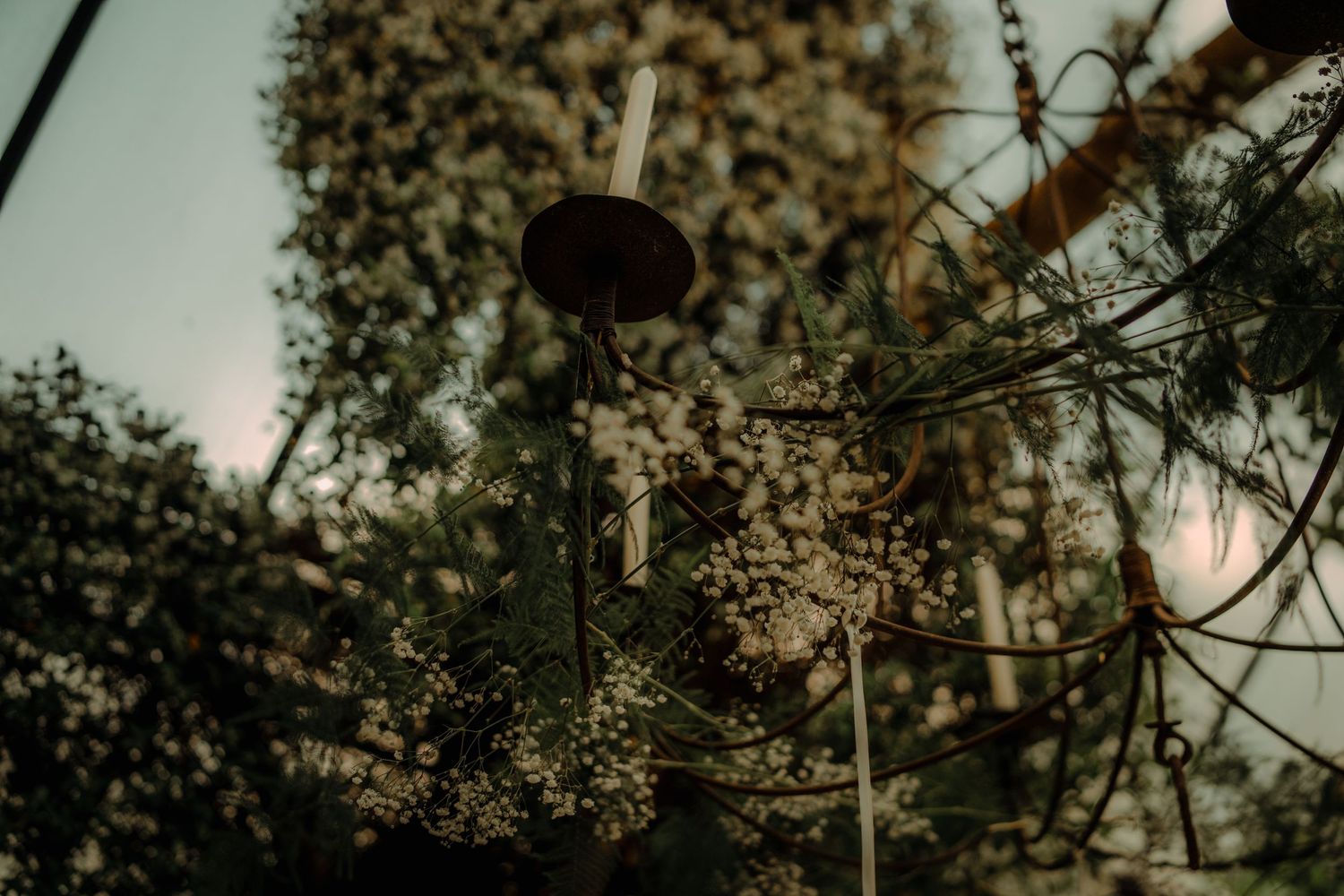 Delicate string lights and tree branches create a romantic atmosphere in an evening garden setting.