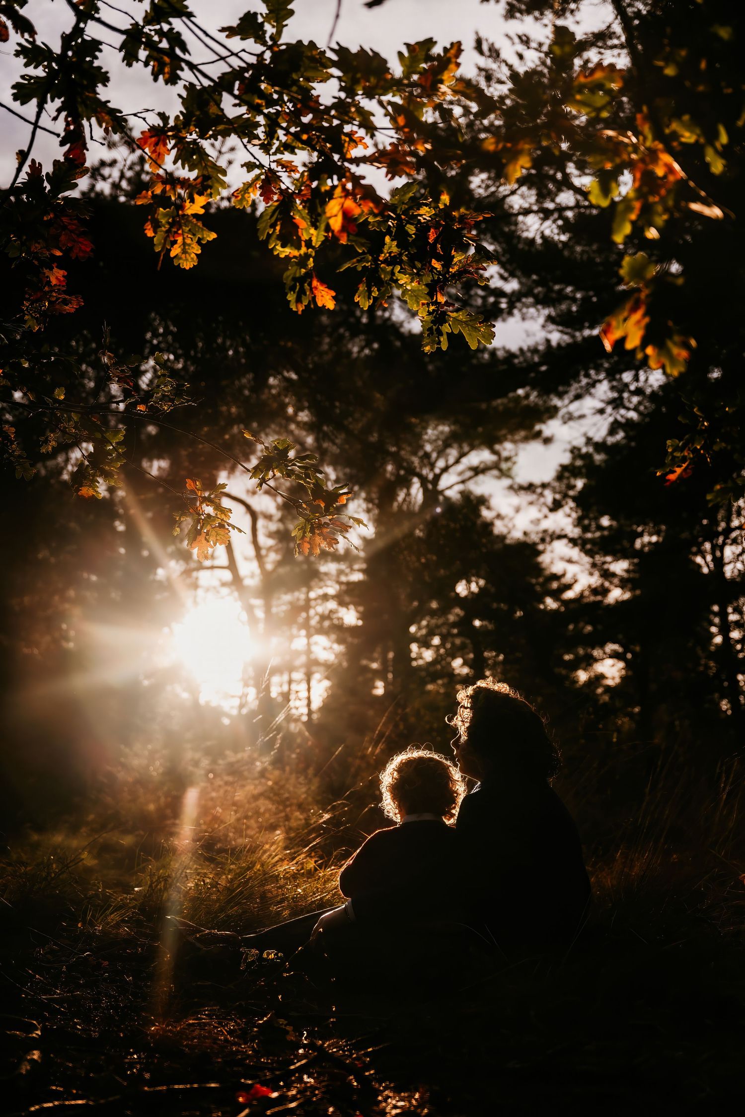 Golden sunlight streams through autumn trees creating a dramatic silhouette effect.
