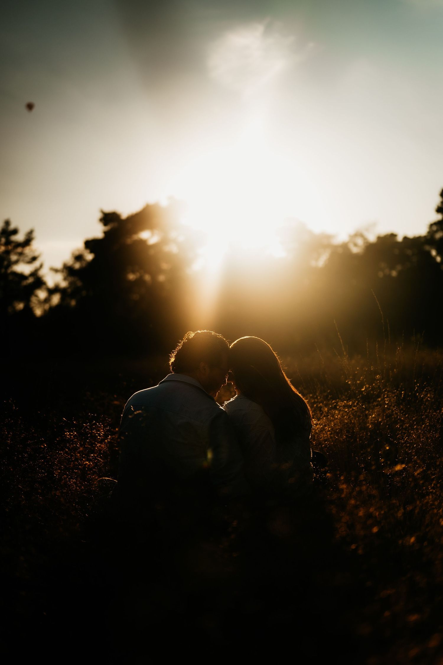Silhouetted figures in a romantic embrace against a golden sunset with glowing backlight through trees.