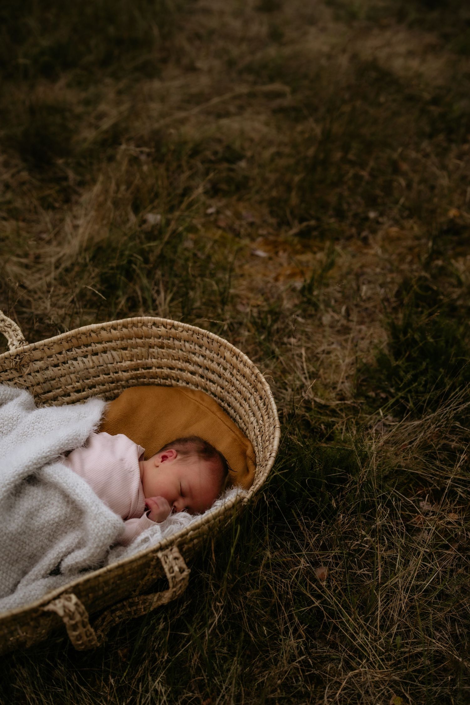 Sleeping newborn baby tucked in cozy woven basket outdoors.