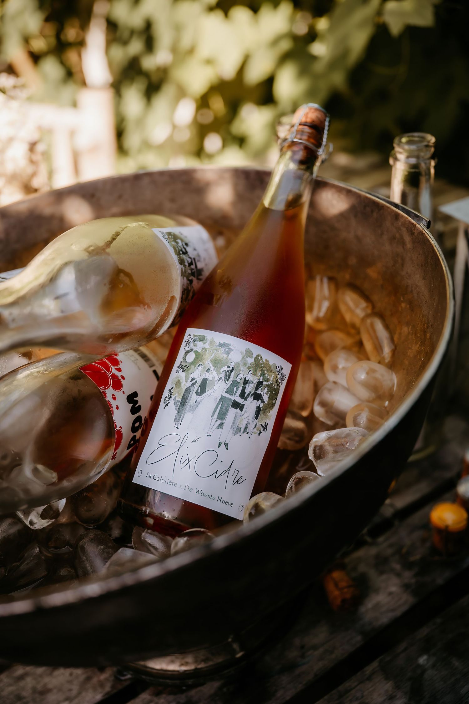 Bottles of wine chilling in an ice bucket at an outdoor event.