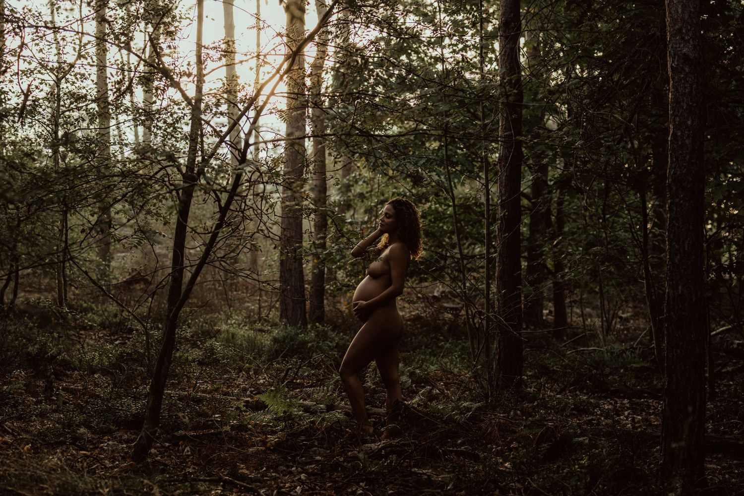 A silhouetted figure walks through misty woodland at golden hour as sunlight filters through dense pine forest.