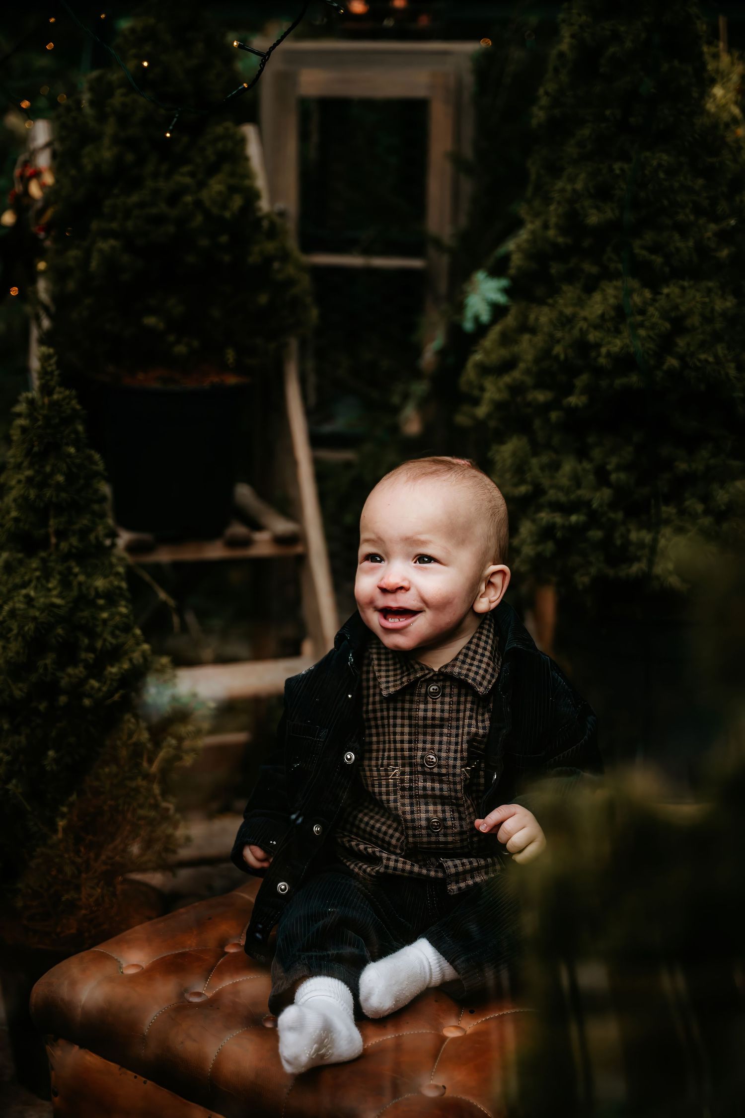A series of four moody photos showing a baby sitting on brown leather furniture in a dark room with natural lighting.