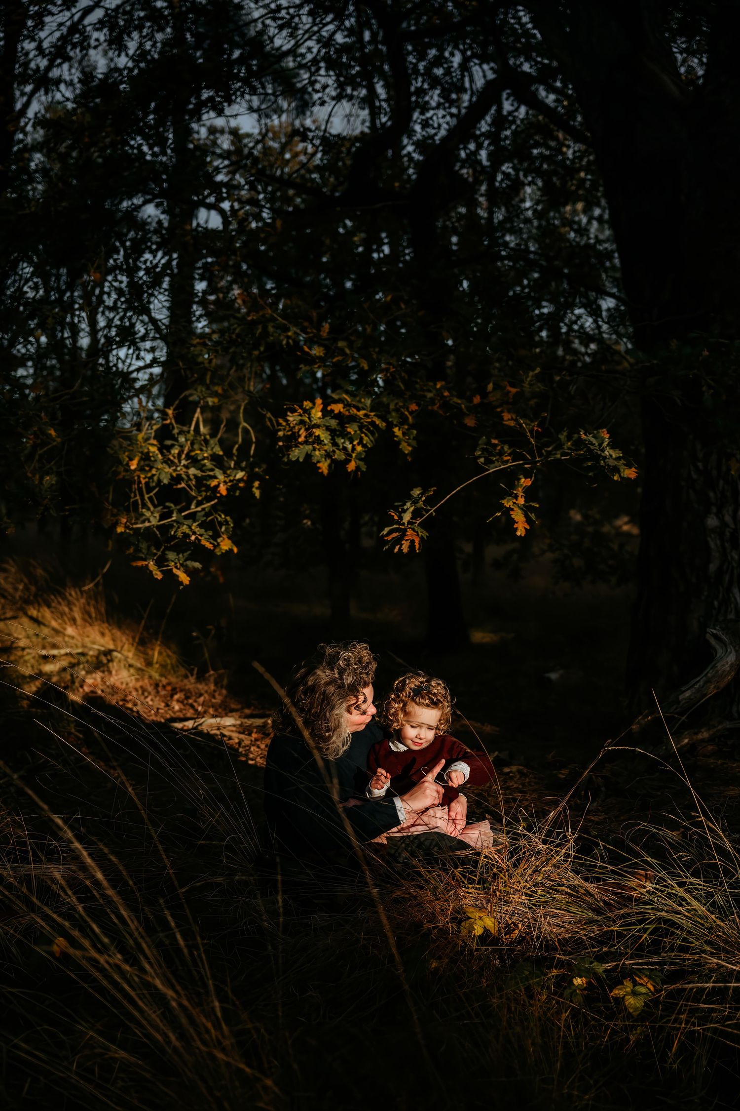 Dramatic outdoor portrait shot in tall grass with natural lighting at dusk.