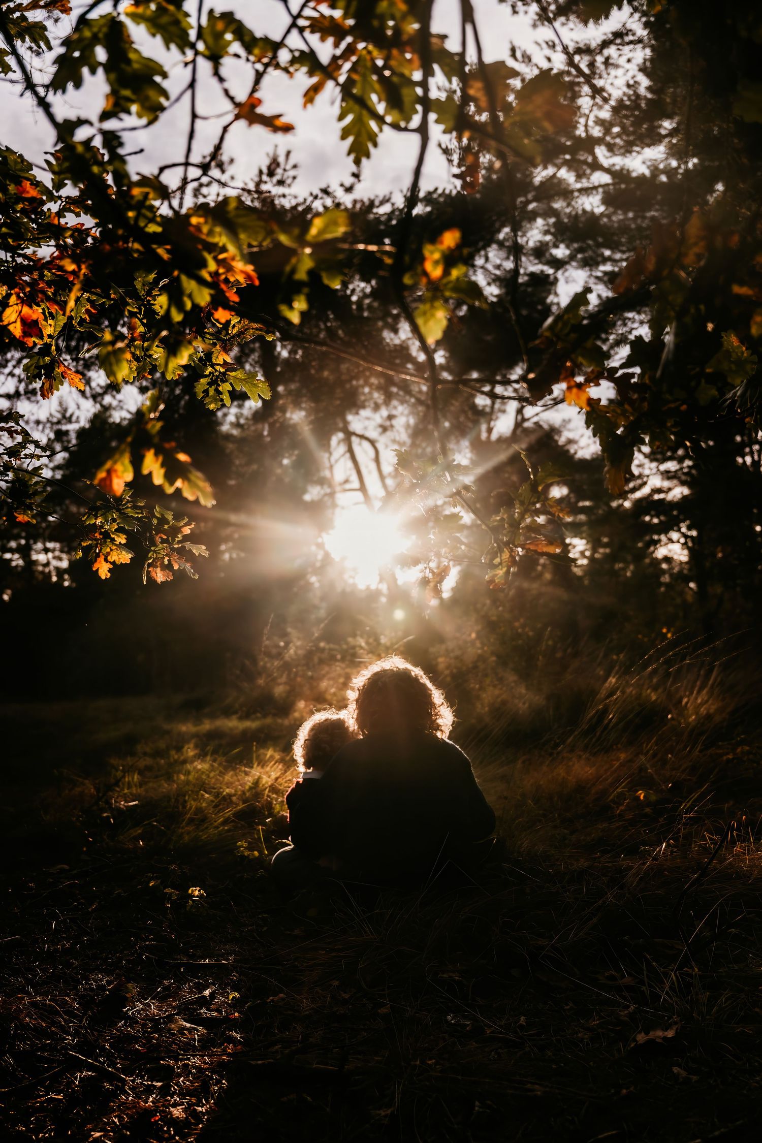 Sunlight bursts through autumn trees creating a dramatic silhouette effect.