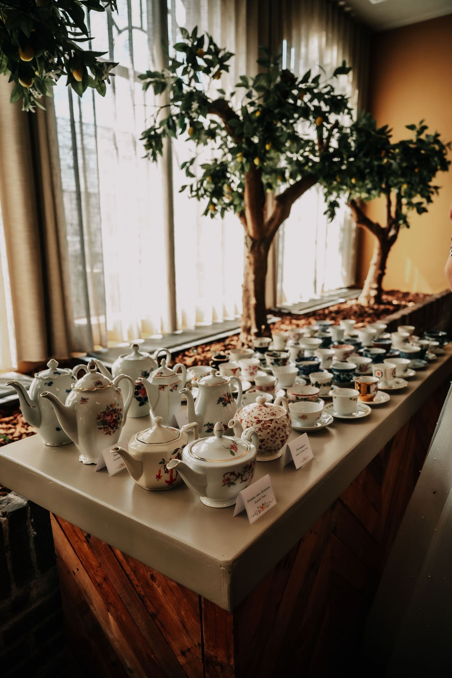 White teapots and serving dishes arranged on a wooden table near a window with green plants.