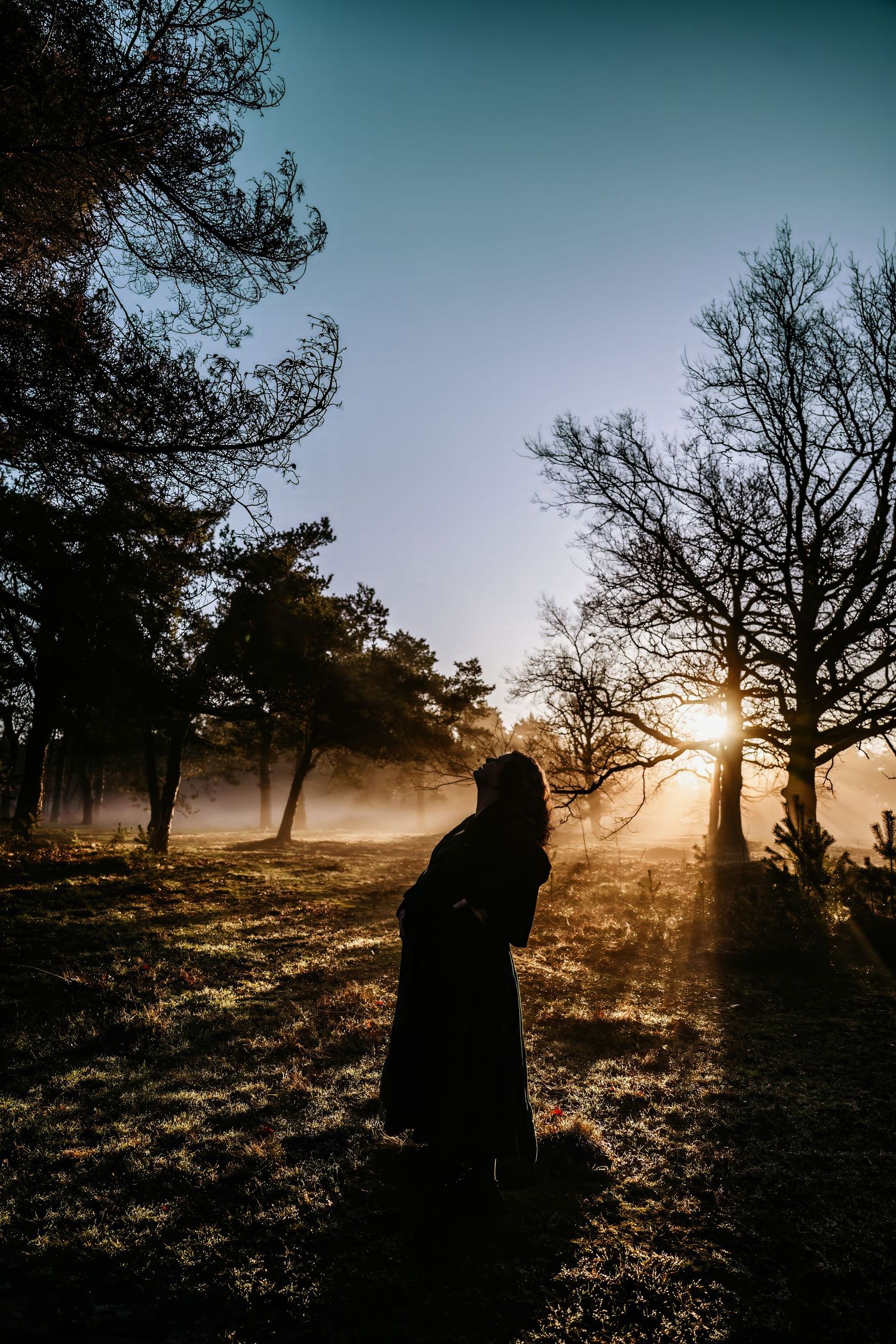 A silhouetted figure stands in a misty field at sunrise with bare trees creating a moody atmospheric landscape.