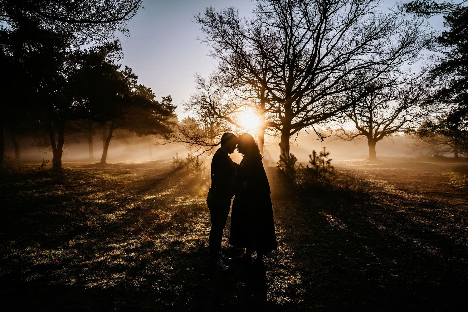Silhouettes of people embracing in a misty forest at golden hour as sunlight streams through the trees.