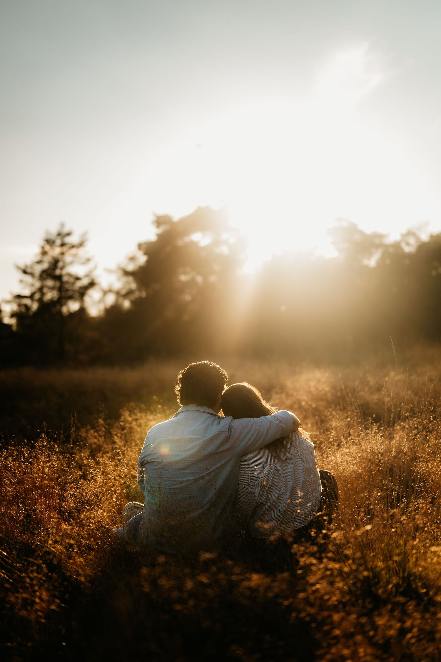 A romantic scene at golden hour shows a couple lying in a blooming summer meadow as sunlight glows through trees.
