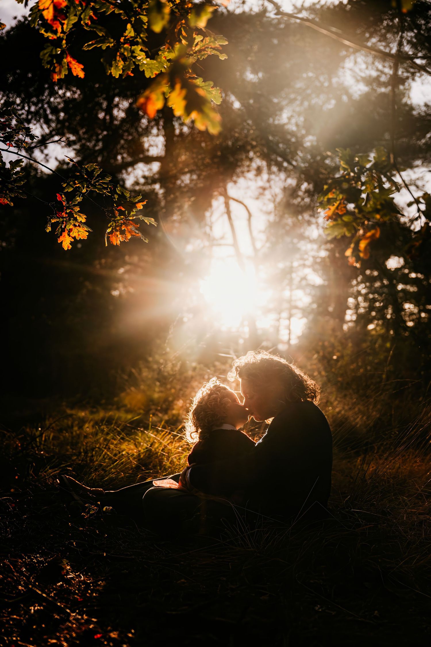 Golden sunlight filters through autumn trees creating a dramatic backlit silhouette effect.